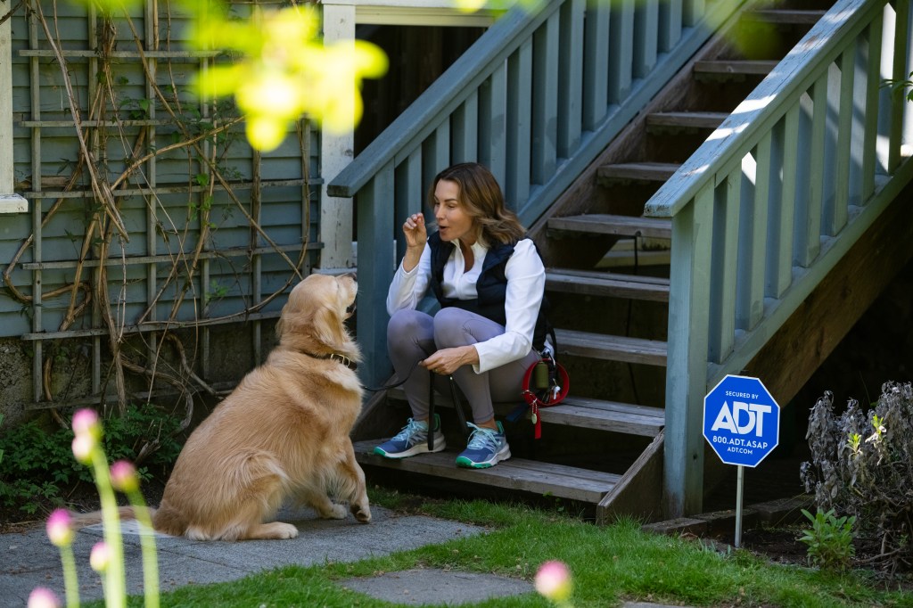 Trusted Neighbor allows service providers, such as dog walkers, seamless access to your secured home.